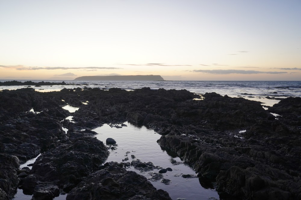 Mana Island from Plimmerton